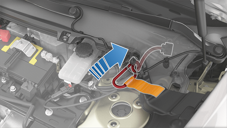 箭头显示正在连接紧急响应回路